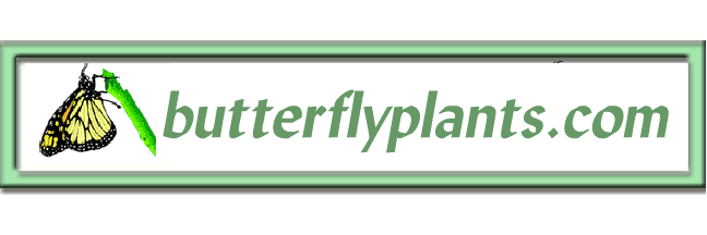 Douglas-Michel Butterflyplants banner
