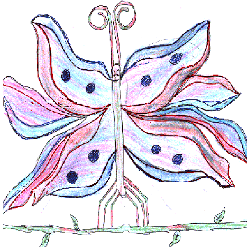 butterfly